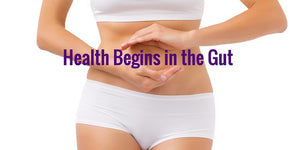 Health Begins in the Gut, DIgestion, GI, Gastrointestinal